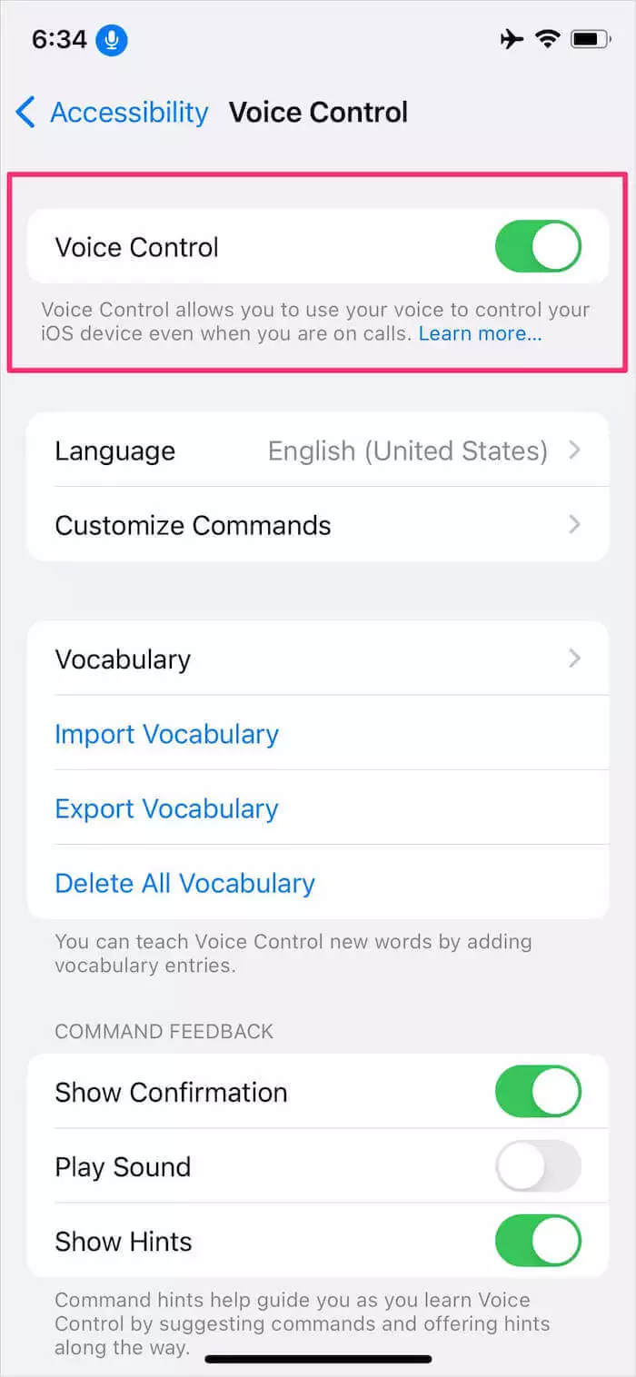 activate voice control on iphone